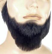 beard2